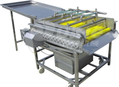 紅薯清洗設(shè)備 清洗設(shè)備 諸城瑞和食品機(jī)械公司 圖 高清圖片 高清大圖