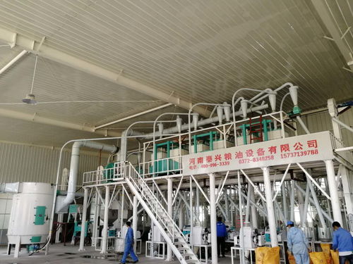 食品加工設(shè)備報(bào)價(jià) 廠(chǎng)家