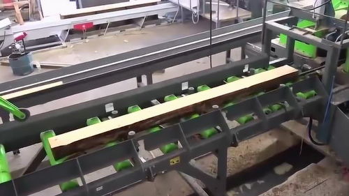 機械化木材加工廠 樹干到木板的現代技術革新